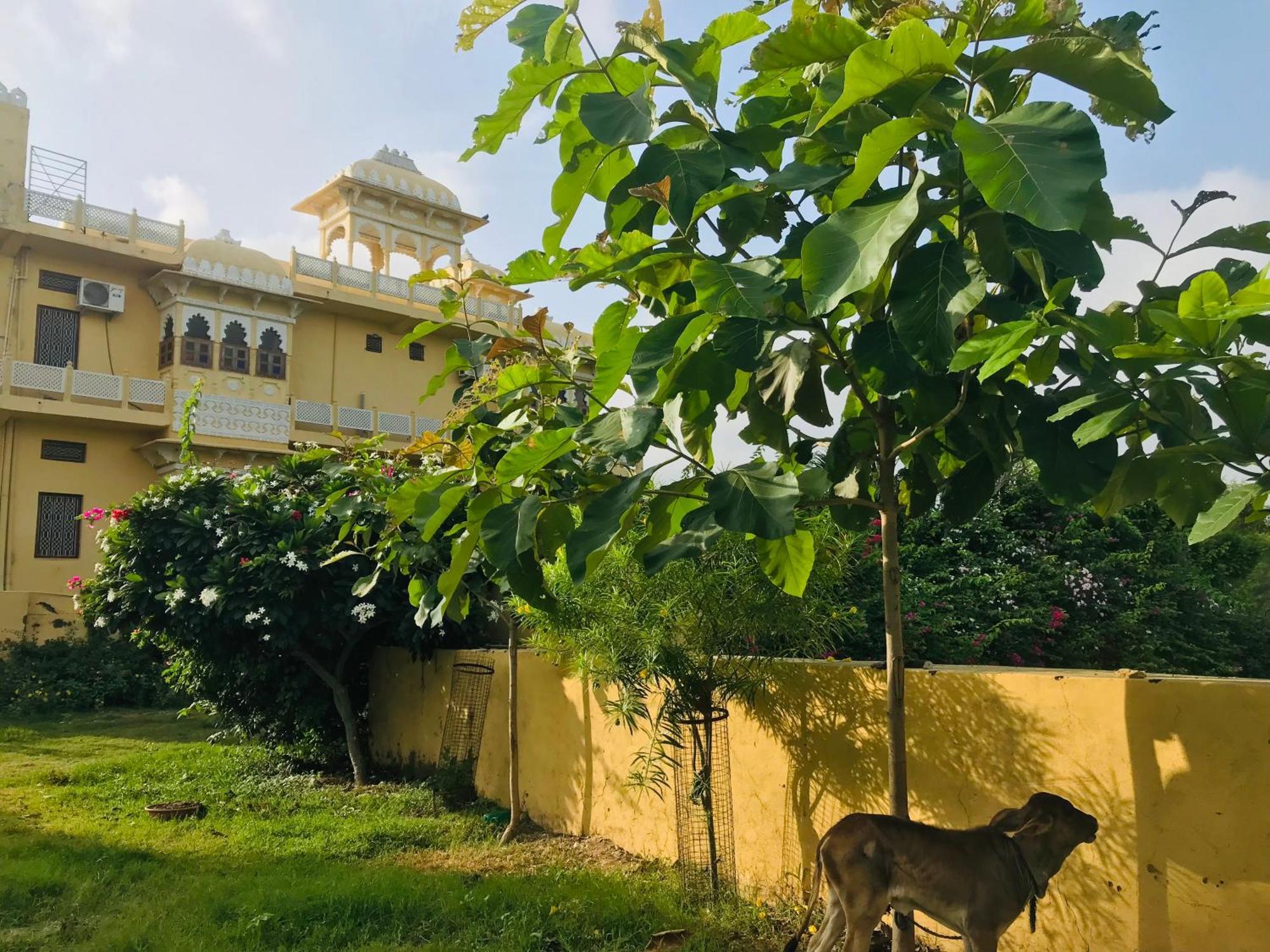 Deogarh Hills A Village Experience Property Kaunthal Exterior foto